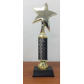 Diamond Cut Star Trophy